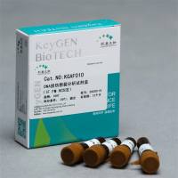 DNA损伤/断裂分析试剂盒（IF FM HCS法，橙/绿/蓝）