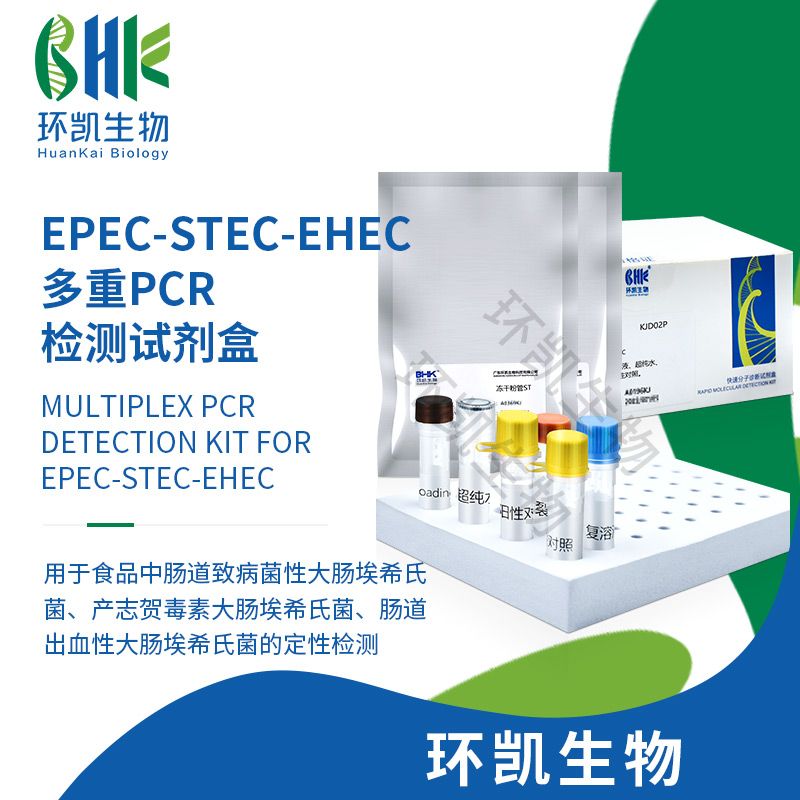 EPEC-STEC-EHEC多重PCR检测试剂盒