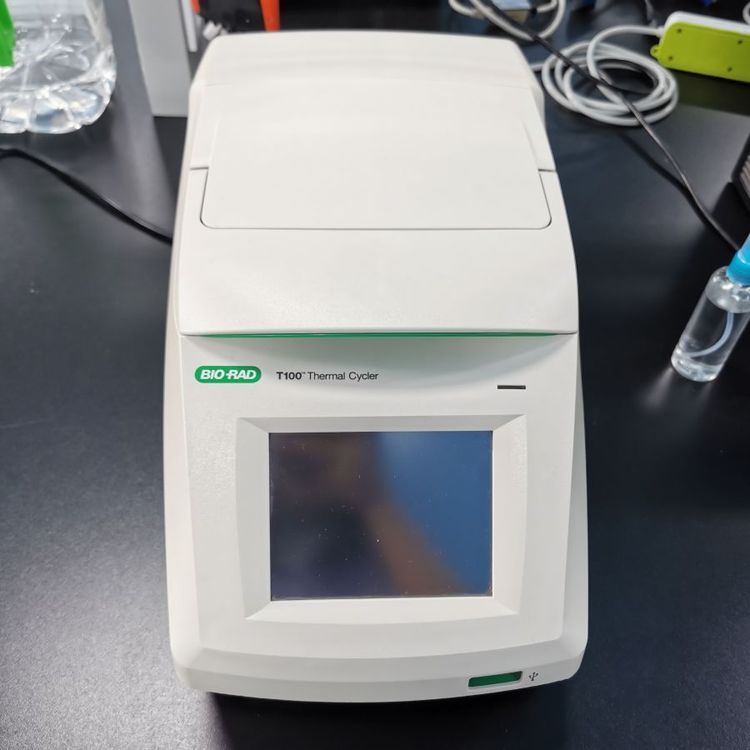 Bio-Rad伯乐PCR仪T100带保修可试机