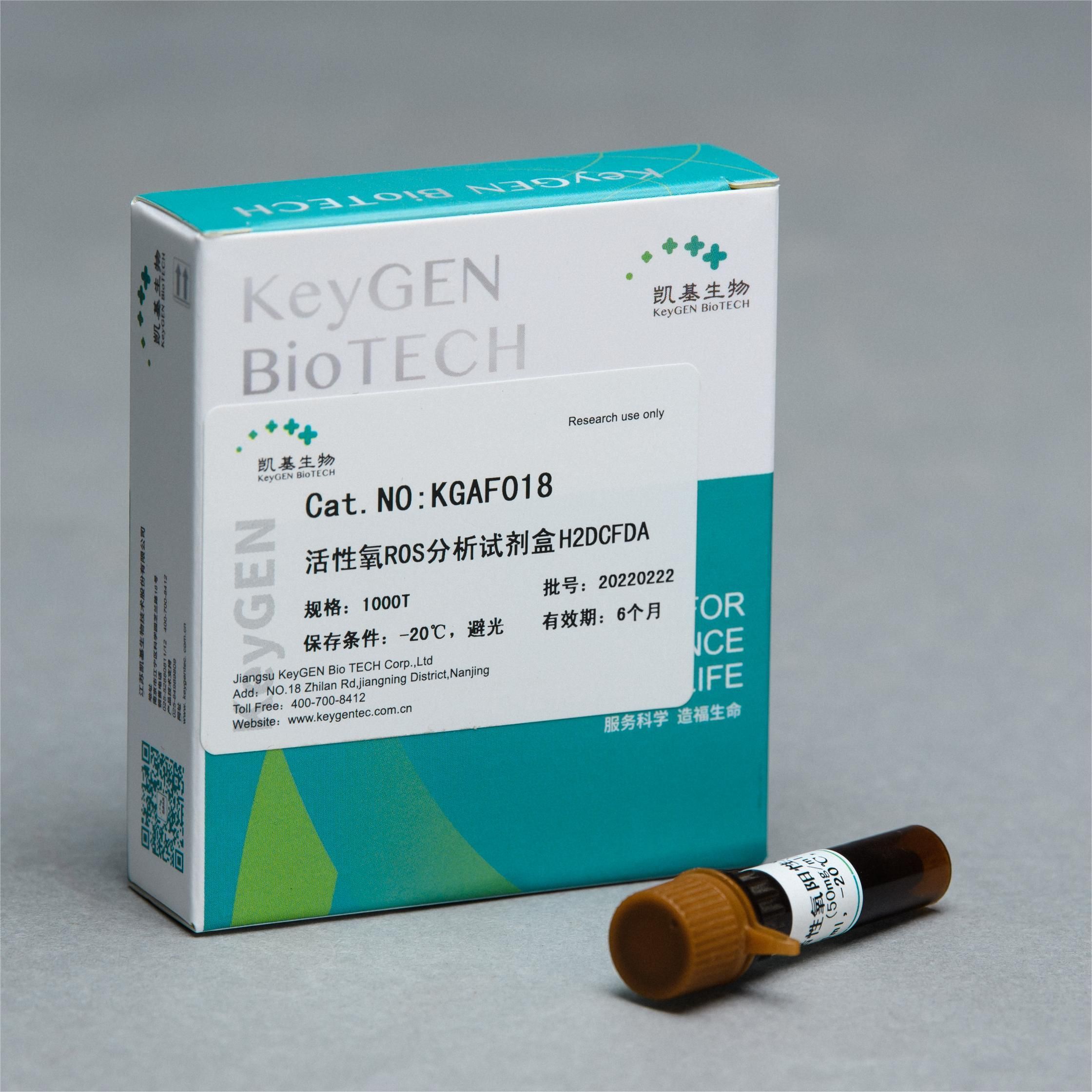 活性氧ROS分析试剂盒 H2DCFDA,绿495/529