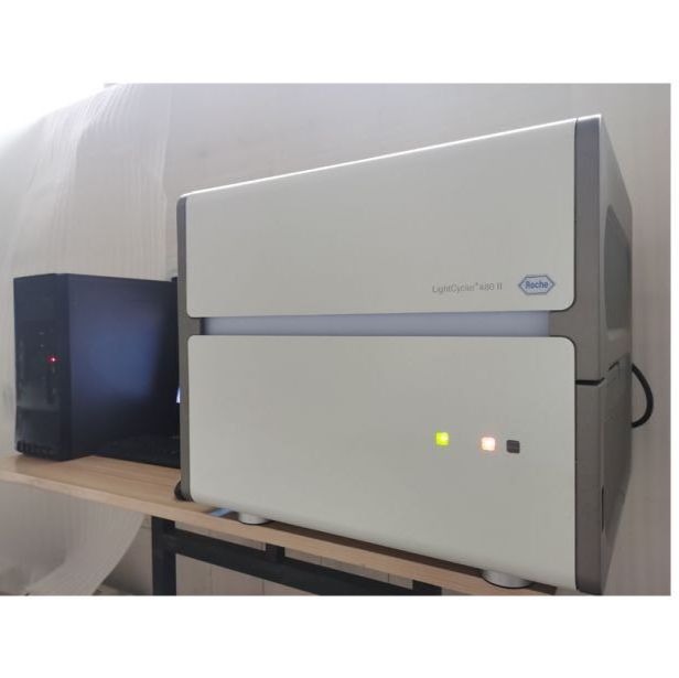 罗氏LightCycler480 II 实时荧光定量PCR