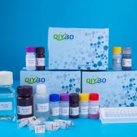 SR-FLICA Caspase-9 检测试剂盒