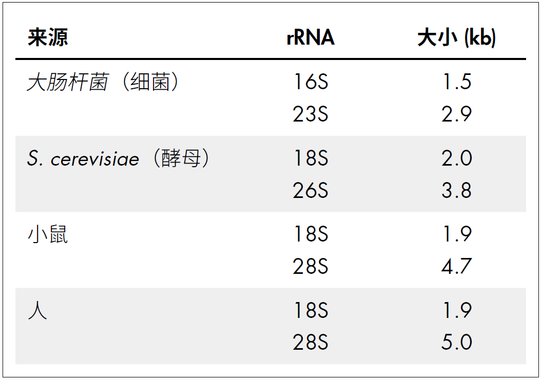 如何评价高质量RNA，知乎？