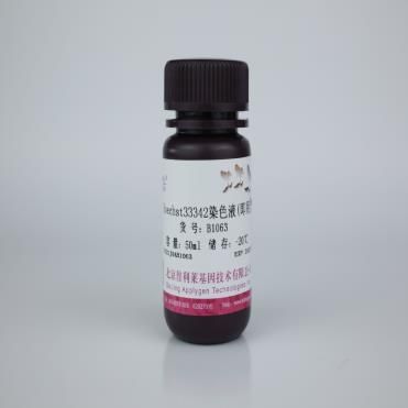 Hoechst33342染色液(即用型)