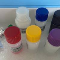 人螺旋肽(HelicalPeptide)ELISA试剂盒