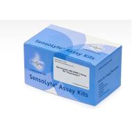 AnaSpecAS-71128SensoLyte®490 MMP-1分析试剂盒荧光法-1试剂盒,SensoLyte® 490 MMP-1 Assay Kit Fluorimetric - 1 kit