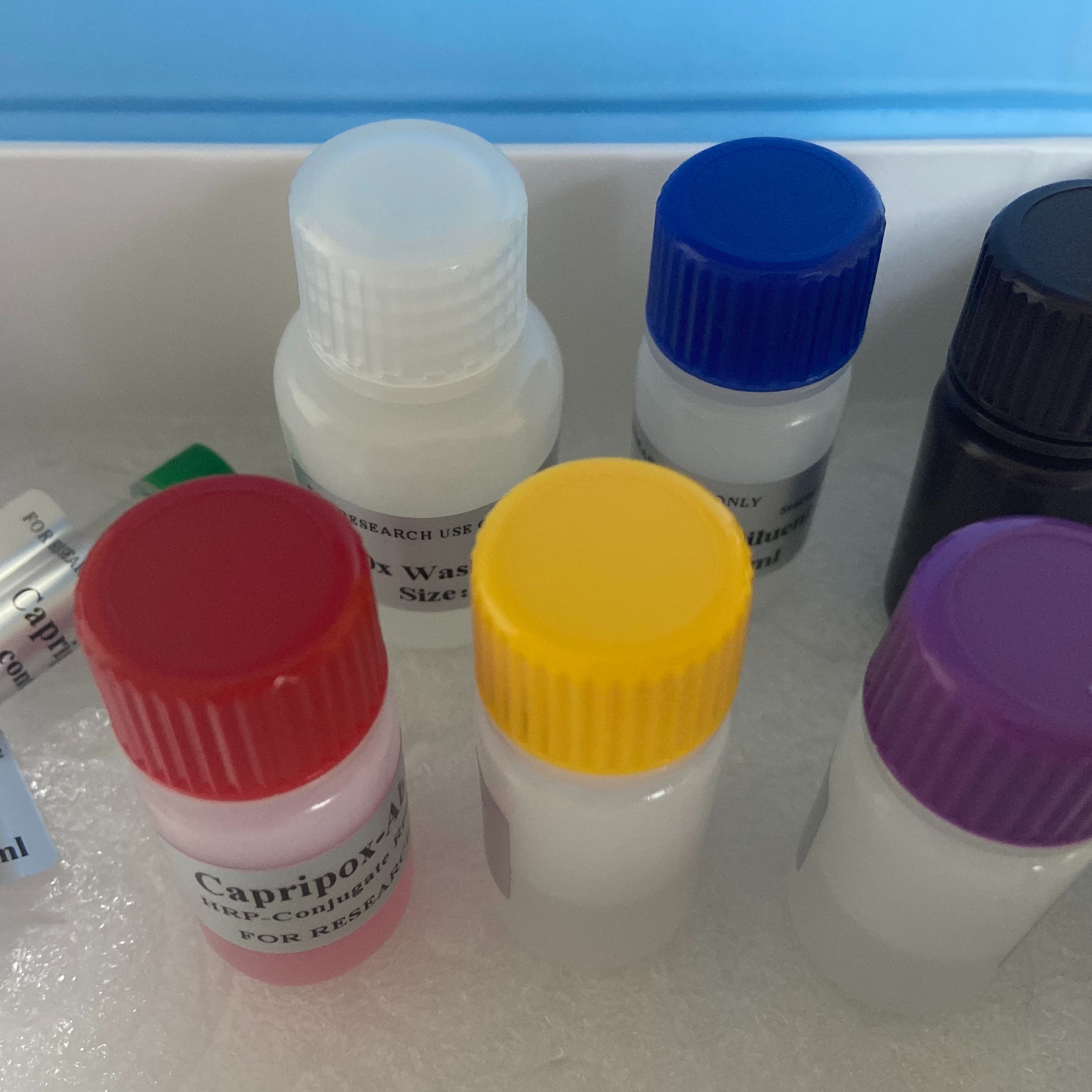 人卵清蛋白特异性IgE(OVAsIgE)ELISA试剂盒