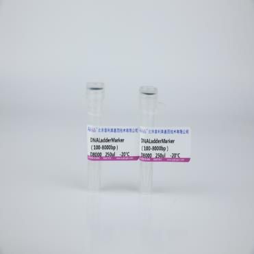 DNA Ladder Marker(100-8000bp)