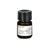III型胶原酶 胶原酶III(Collagenase III)
