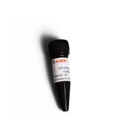 Cy3标记链霉亲和素 Cy3-conjugated Streptavidin