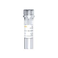 金担子素A Aureobasidin A(AbA) 环酯肽类抗生素