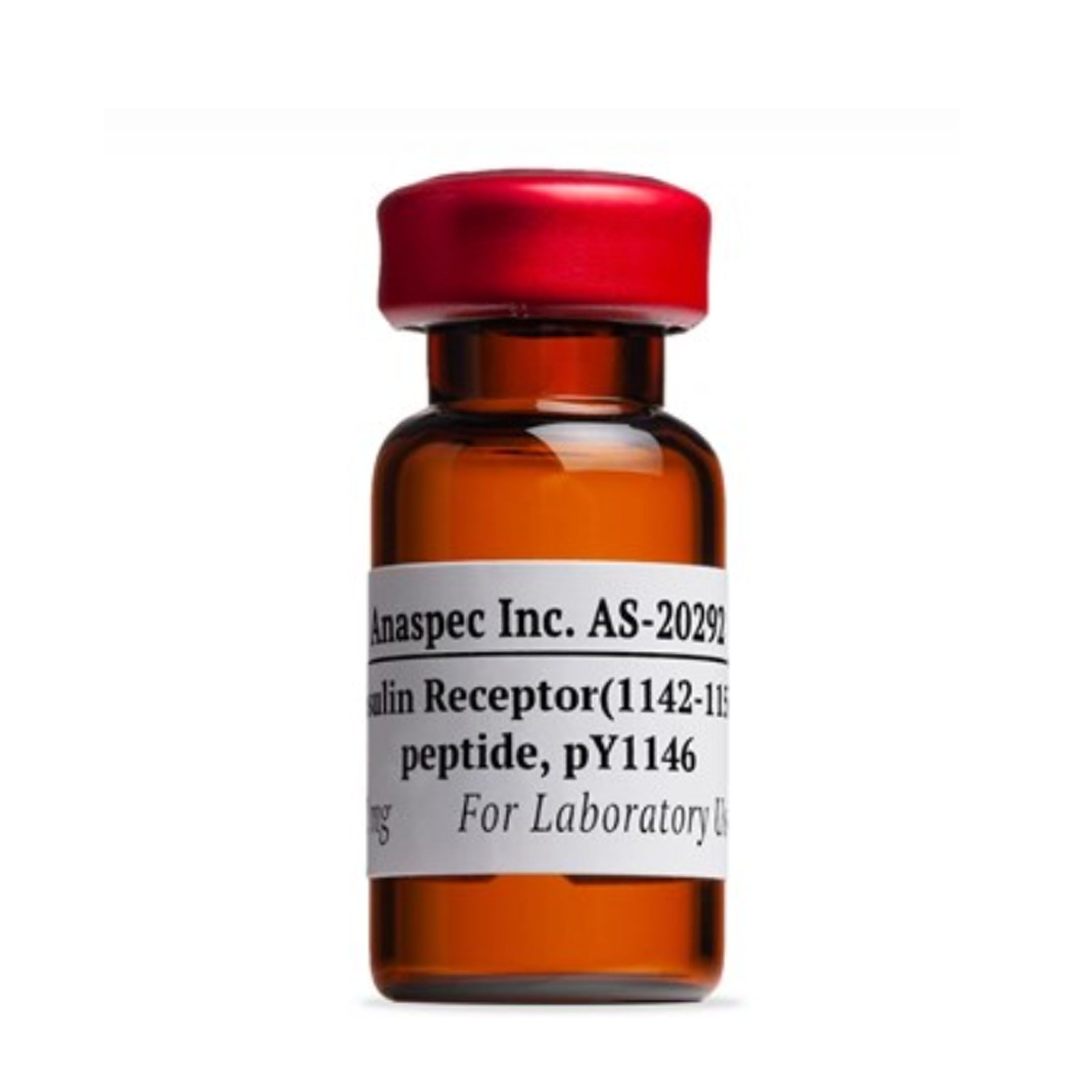 AnaSpecAS-20292胰岛素受体（1142-1153），pTyr1146-1mg，Insulin Receptor (1142-1153), pTyr1146 - 1 mg