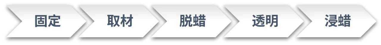 千里之行，始于 “样本” | 解锁您的FFPE样本