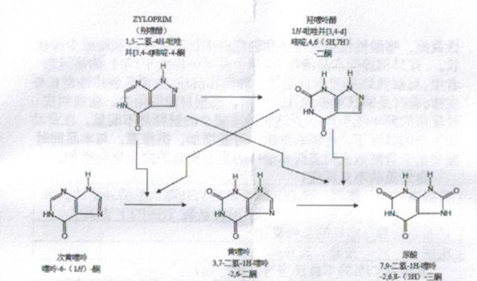 图片预览