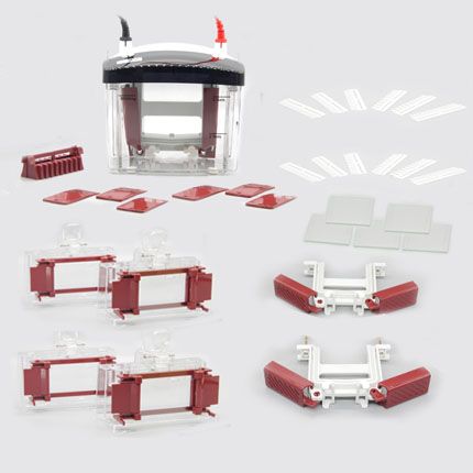 迷你垂直电泳仪(4块胶),1.5mm