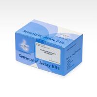 AnaSpecAS-72049AnaTag™ HiLyte™ Fluor 647蛋白标记试剂盒-1试剂盒,AnaTag™ HiLyte™ Fluor 647 Protein Labeling Kit - 1 kit