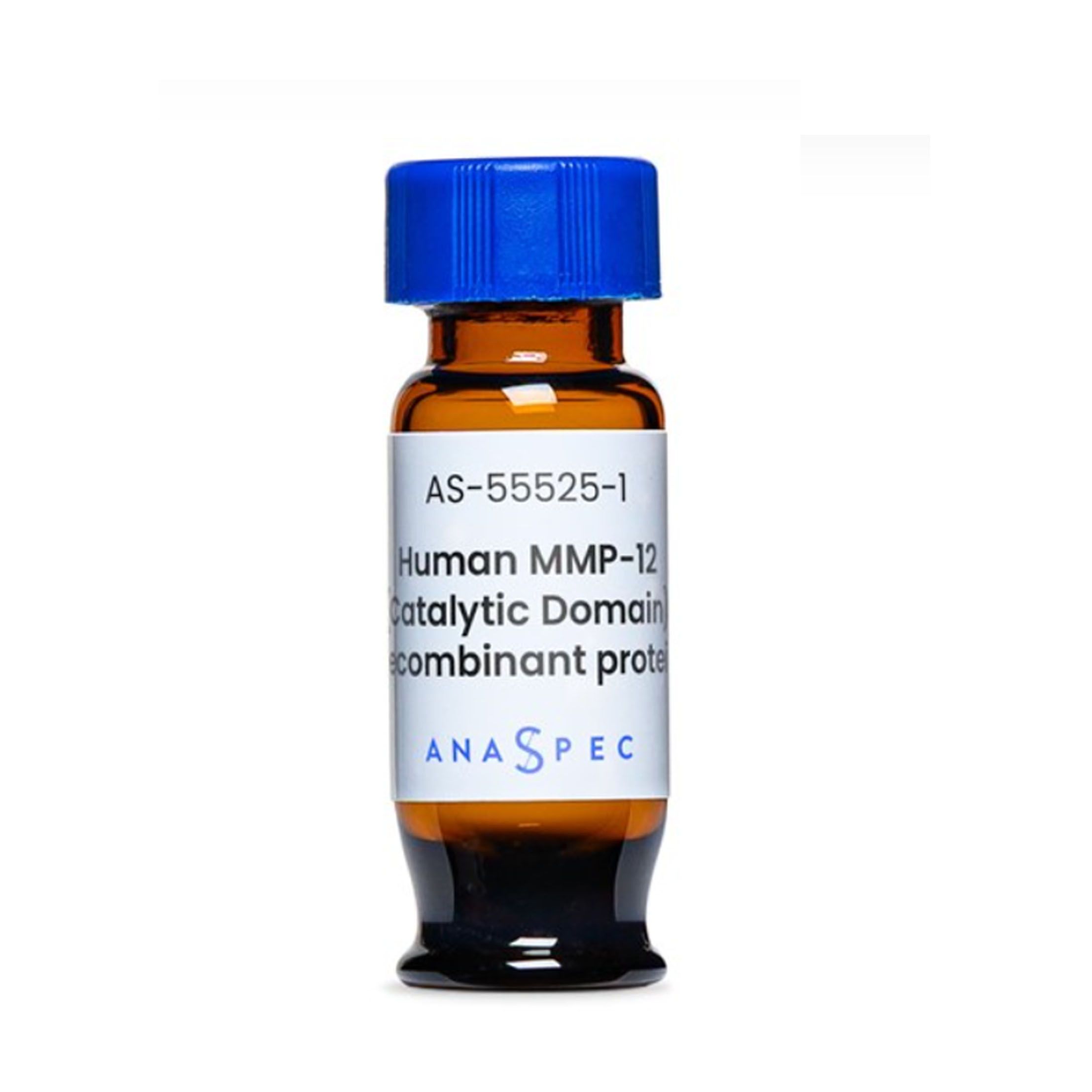 naSpec AS-55525-1MMP-12（催化结构域），重组人，1 µg/10 µg/50 µg， MMP-12 (Catalytic Domain), human recombinant