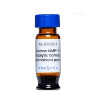 naSpec AS-55525-1MMP-12(催化结构域),重组人,1 µg/10 µg/50 µg, MMP-12 (Catalytic Domain), human recombinant