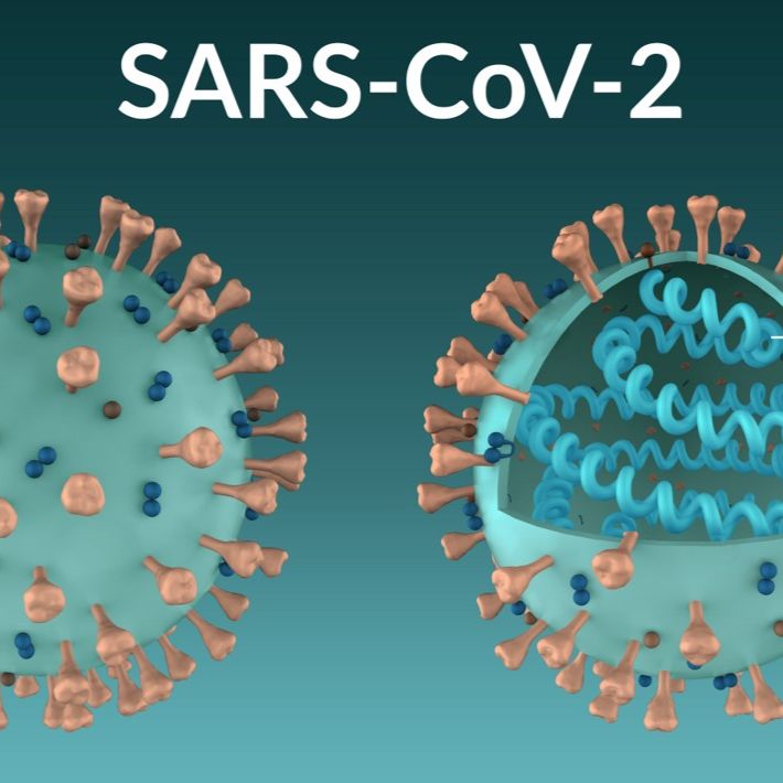 Recombinant SARS-CoV(Beijing 02) S(1-1190) protein
