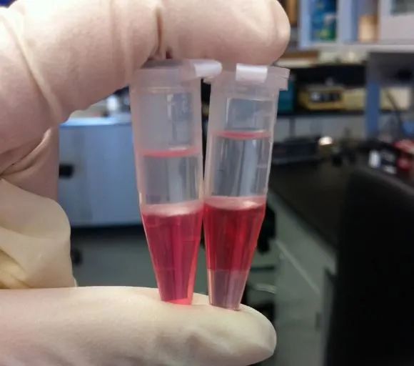 如何提好RNA？选择往往比努力更重要！