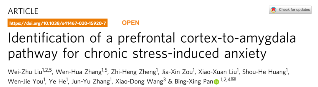 【文献解读】 mPFC-杏仁核介导焦虑