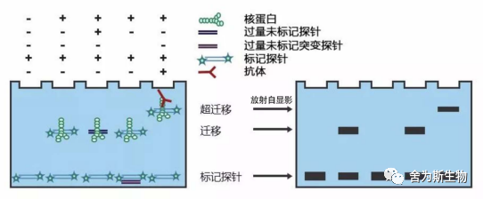 技术资料图片1