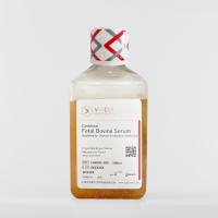 胚胎干细胞专用胎牛血清