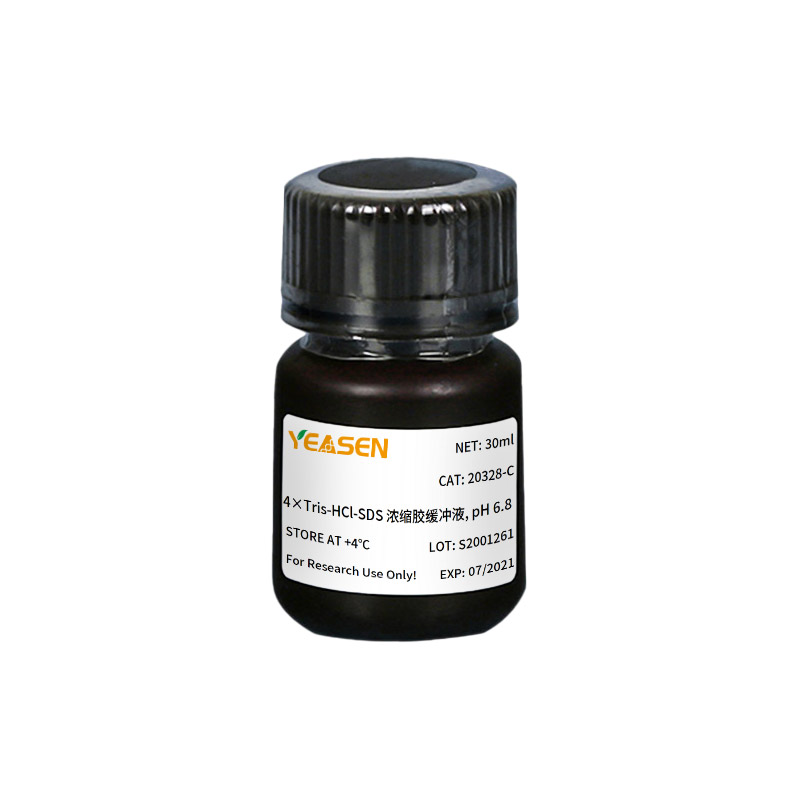 SDS-PAGE凝胶配制试剂盒