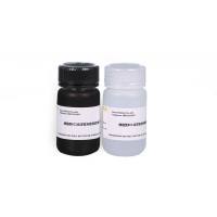 增强型ECL化学发光检测试剂盒