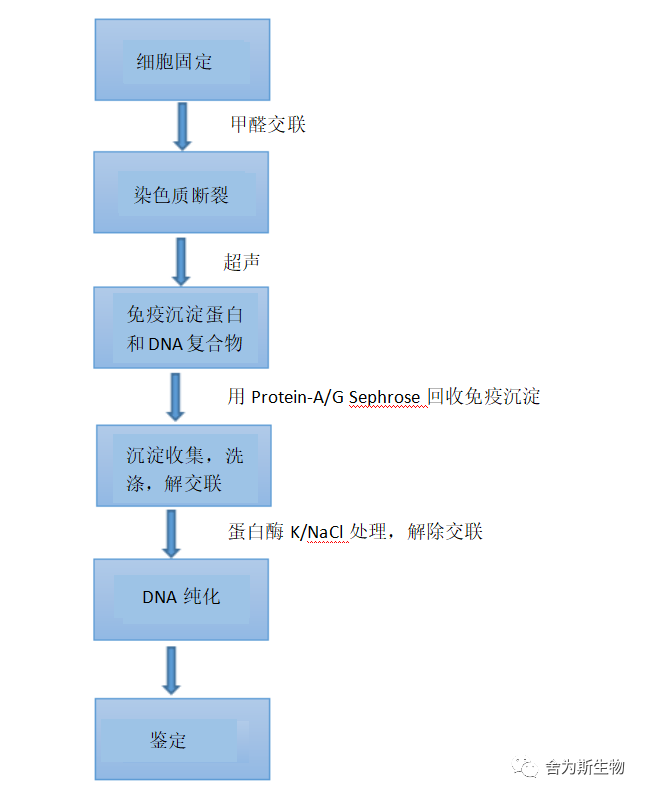 技术资料图片2