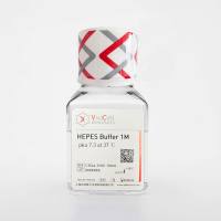 HEPES缓冲溶液