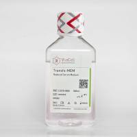Transfα-MEM 减血清细胞转染培养基