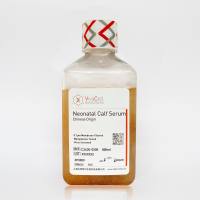 超级新生牛血清