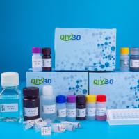 过氧化氢比色检测试剂盒