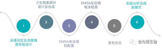 技术资料图片2