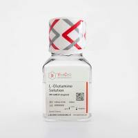 L-谷氨酰胺