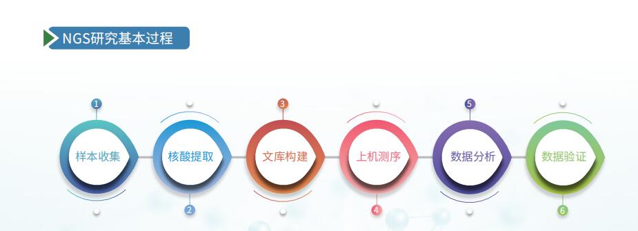 杭州沃森生物|全流程NGS产品方案推荐