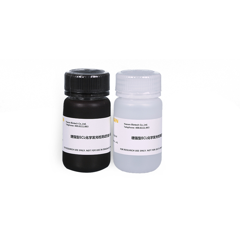 增强型ECL化学发光检测试剂盒