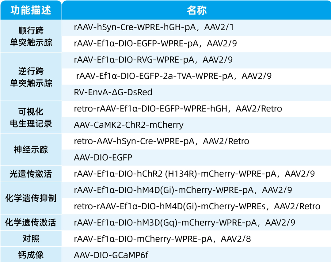 新闻图片8