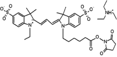 Cyanine3 NHS ester(优于cy3 NHS e