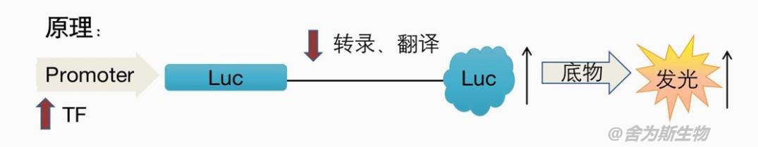 技术资料图片4
