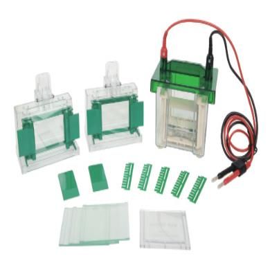 Mini3垂直电泳槽（1.0mm标配）