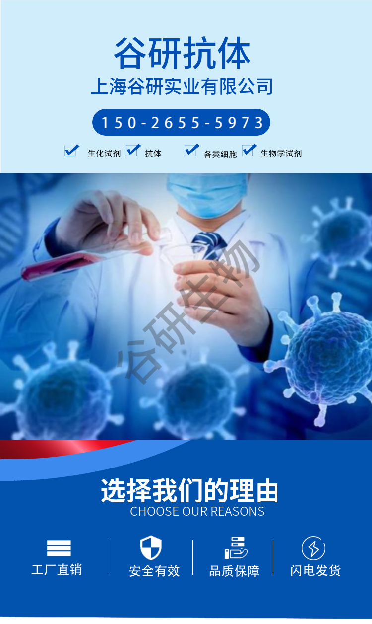 Rabbit Anti-Human IgG F(ab')₂ 