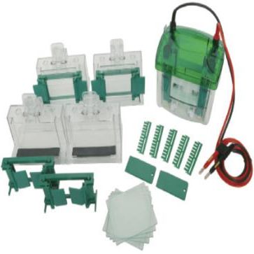 Mini4四块胶垂直电泳槽(1.5mm标配)