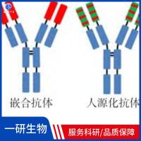 脂滴包被蛋白A+B抗体
