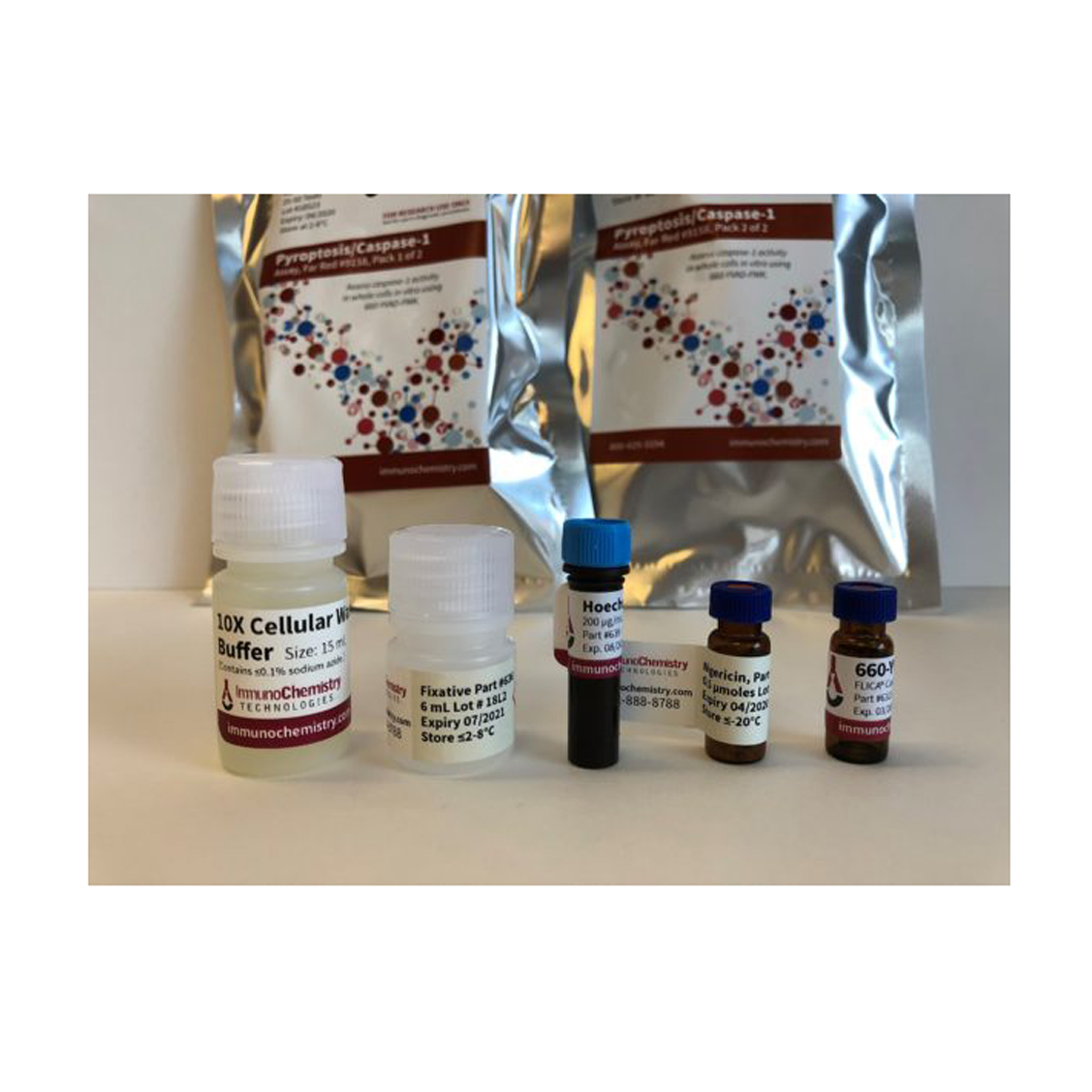 ImmunoChemistry Technologies91