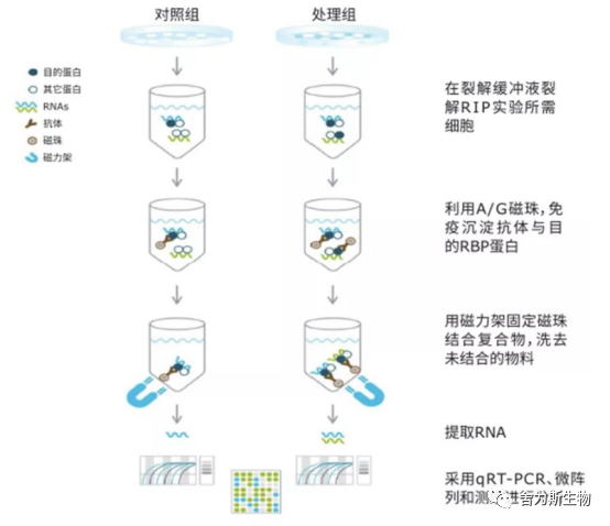 技术资料图片3