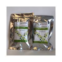 ImmunoChemistry Technologies9151绿色组织蛋白酶B测定法, Green Cathepsin B Assay