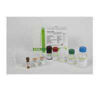 IBL-America JP27418 β淀粉样蛋白片段 (N3PE-40) 酶免检测试剂盒，AMYLOID BETA (N3PE-40) AΒ