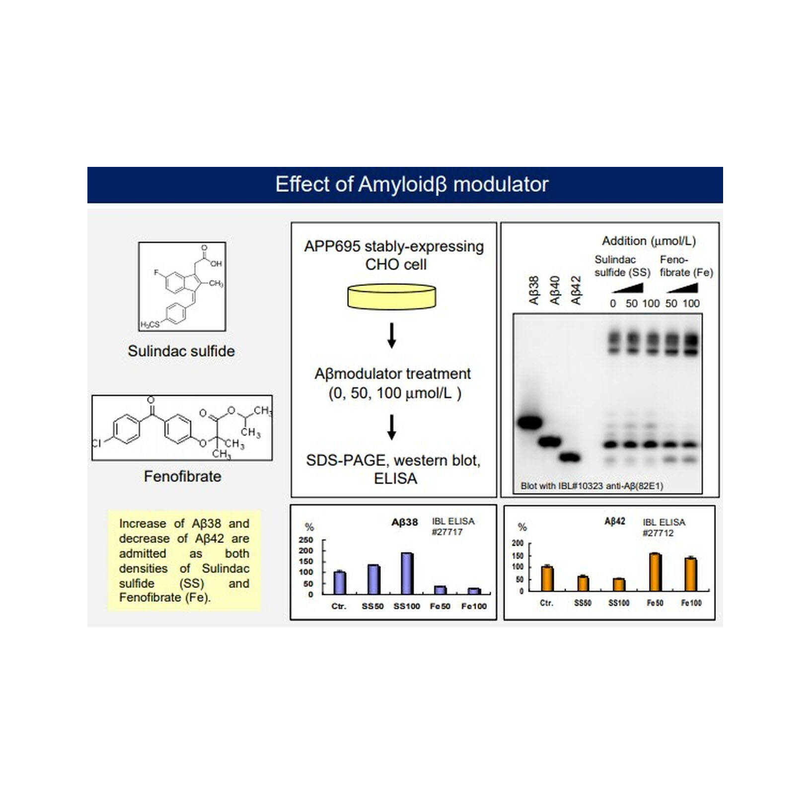 IBL-America JP27717AMYLOID BET